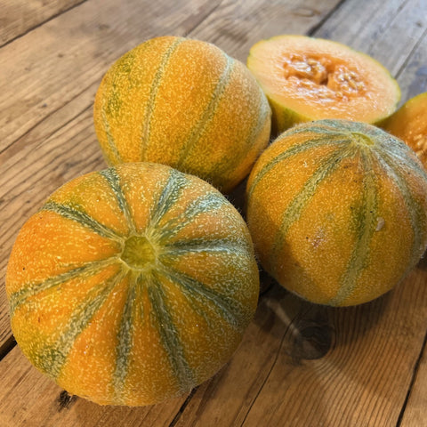 NIEUW Meloen 'Ananas Rouge' (Cucumis melo)