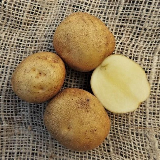 kaneel-potatis