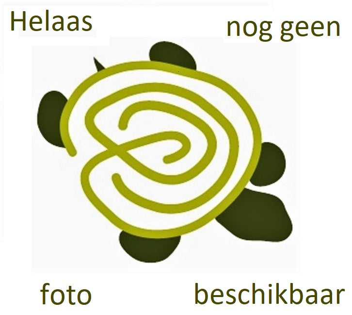 Geelgroene Melde (Atriplex hortensis)