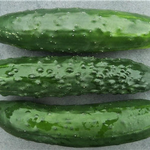 noord-koreaanse-komkommer
