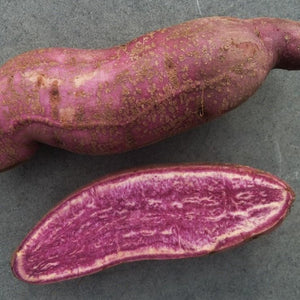 Purple Two