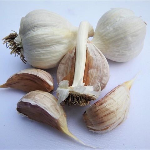vaslui